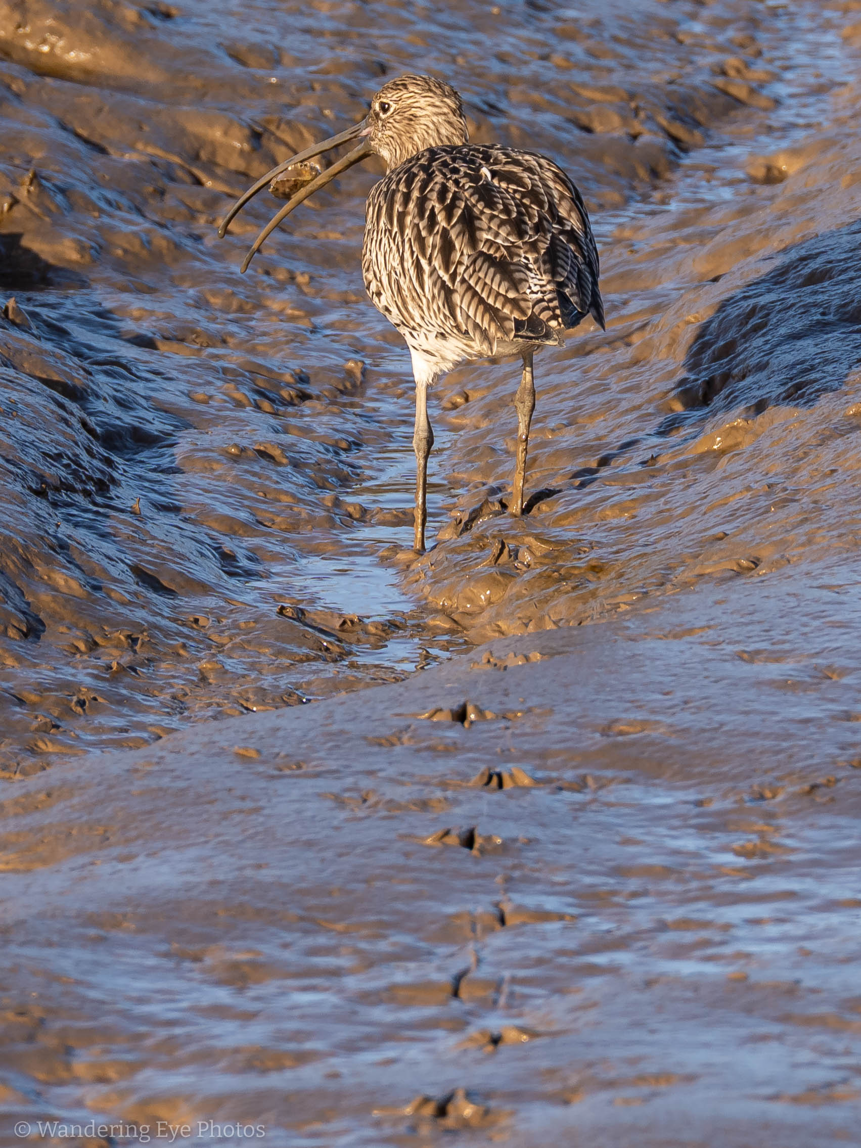 11.17 14.48.45 DSC00554